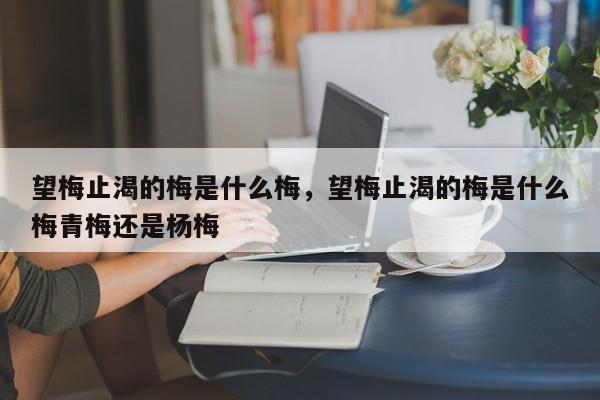 望梅止渴的梅是什么梅，望梅止渴的梅是什么梅青梅還是楊梅